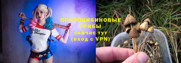 молекула духа Алексеевка