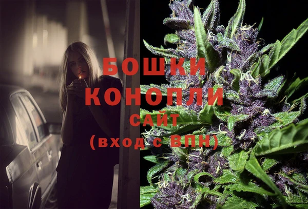 прущие крисы Белокуриха